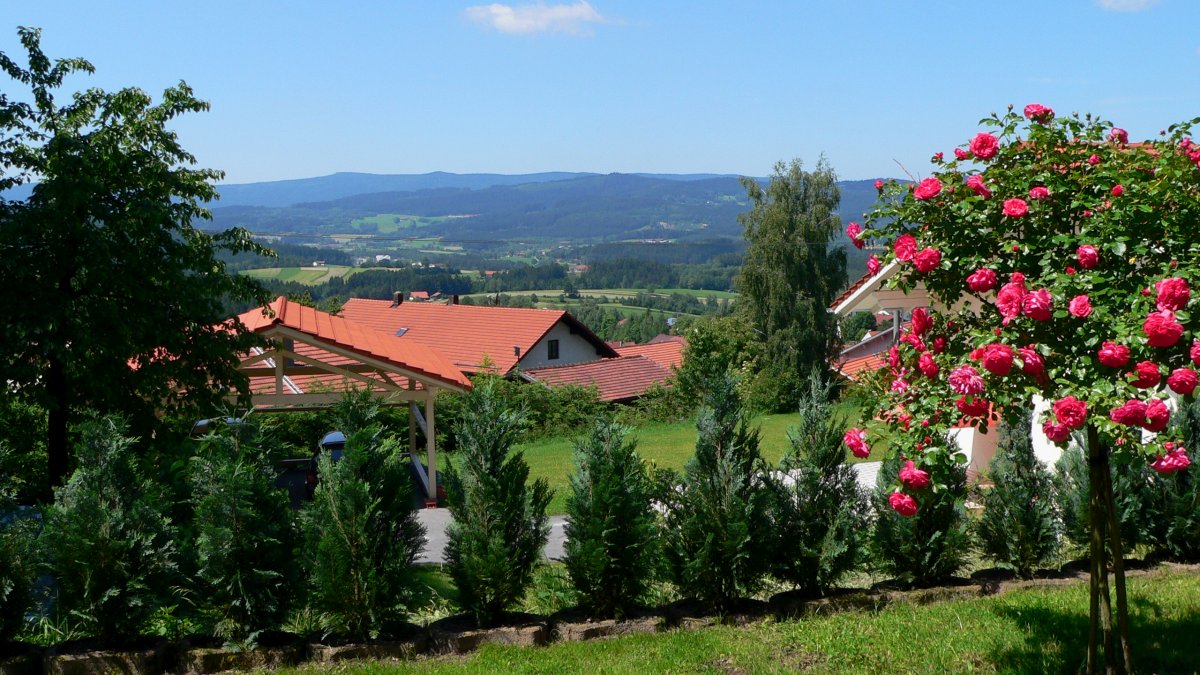 Ferienhaus Bodenmais am Arber Blick von der Terrasse