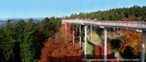 ausflugsziele-niederbayern-waldwipfelweg-aussichtspunkt-sankt-englmar