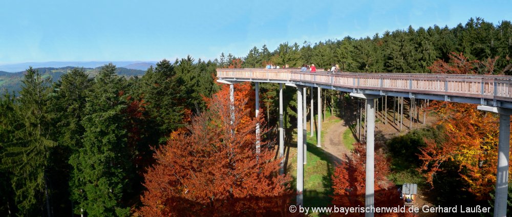 ausflugsziele-niederbayern-waldwipfelweg-aussichtspunkt-sankt-englmar